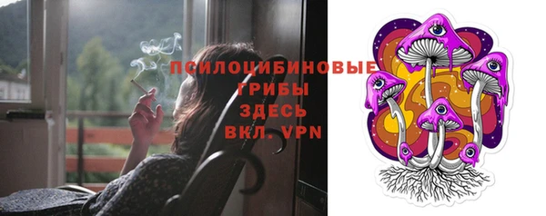 крисы Лабытнанги