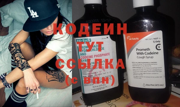 крисы Лабытнанги