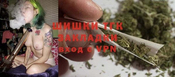 spice Ладушкин
