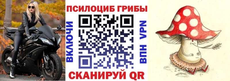 Галлюциногенные грибы Magic Shrooms  где купить   Мелеуз 