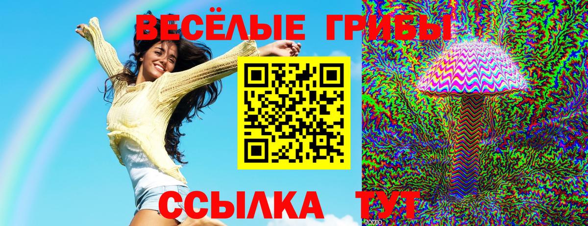 Псилоцибиновые грибы Cubensis  Псилоцибиновые грибы мицелий  цены наркотик  Мелеуз 