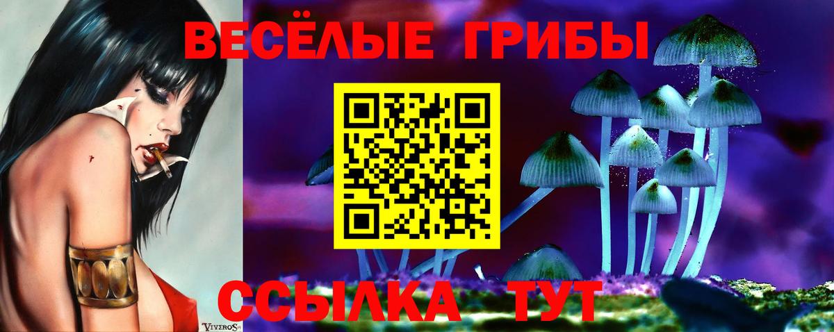 Псилоцибиновые грибы Psilocybe  Вход с VPN  Мелеуз 